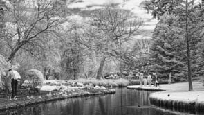 Preview image for the external video "Philip Troy".