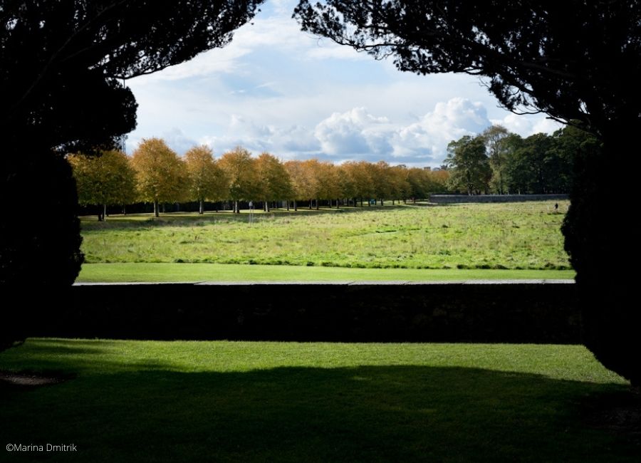 Photo by Marina Dmitrik Photo of a park in Dublin 8 by Marina Dmitrik