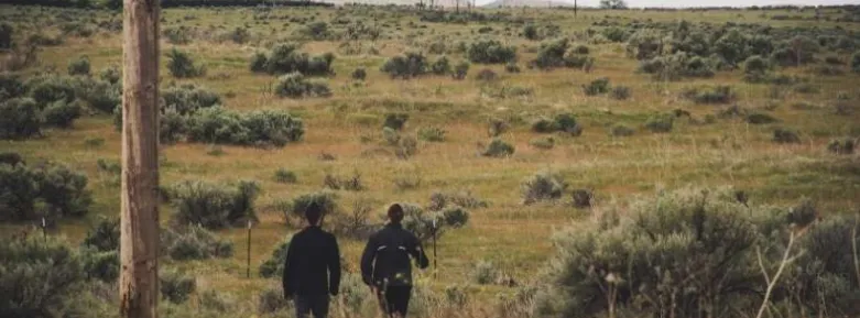 heritage conservation