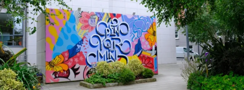 Griffith College mural art