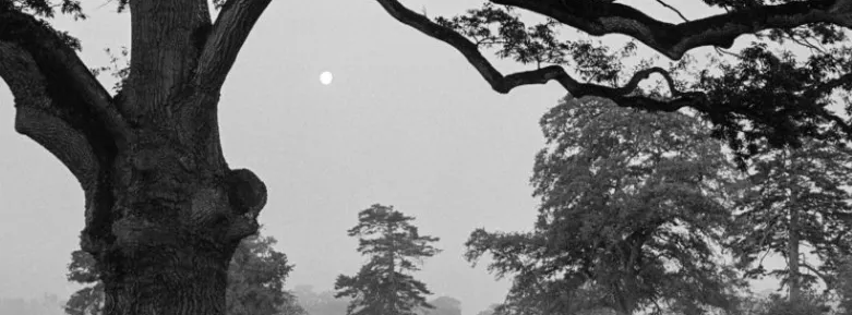 Black and white photo by Peter Bjoerk, chosen to show at Halftone