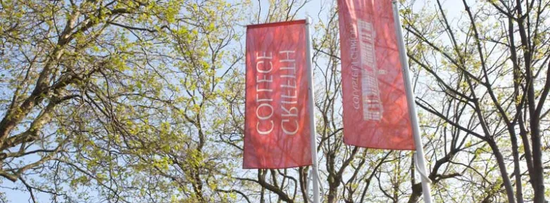 Griffith College Dublin Campus Flag