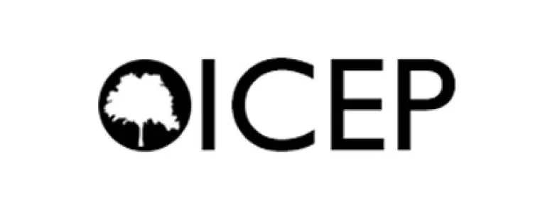 ICEP Conference 2017