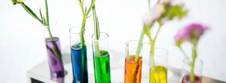 Flowers grow in test tubes filled with various colours of water