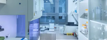 pharma job