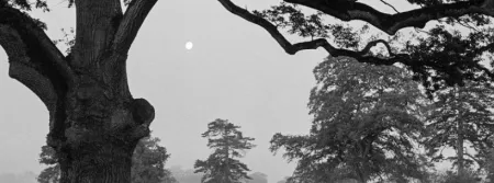 Black and white photo by Peter Bjoerk, chosen to show at Halftone