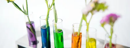 Flowers grow in test tubes filled with various colours of water