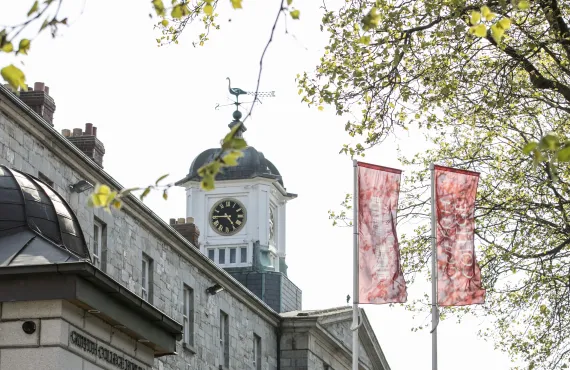 Griffith College Dublin