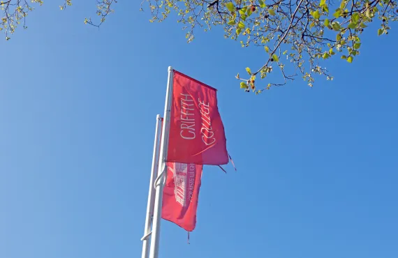 Dublin Main Campus flags