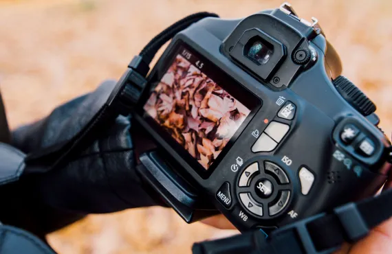 digital-photography-for-beginners