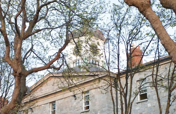 Constitutional Law from DLSP