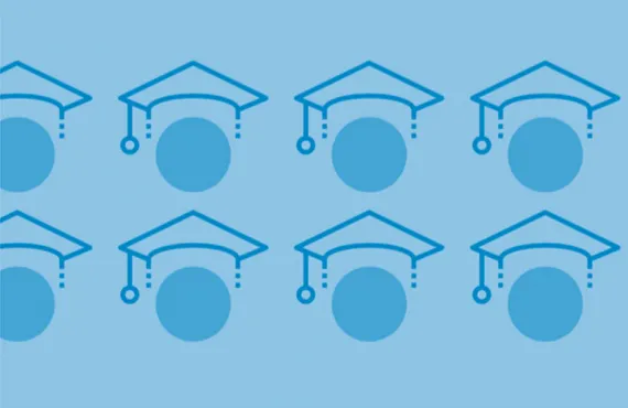 Source: HEA Report on 2014 Graduates