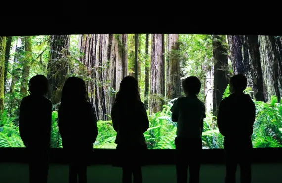 Designer Heather Dowling - a Griffith College graduate