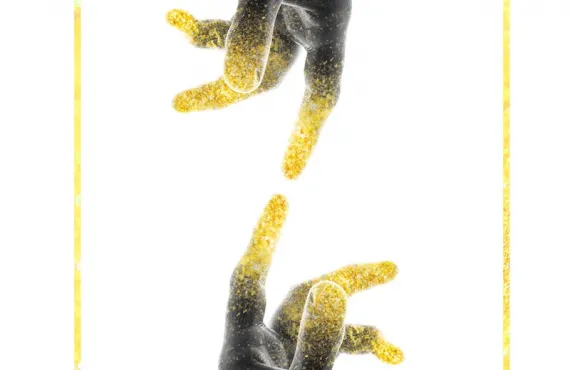 Creatives Against COVID-19, Hai Long Krc