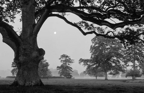 Black and white photo by Peter Bjoerk, chosen to show at Halftone