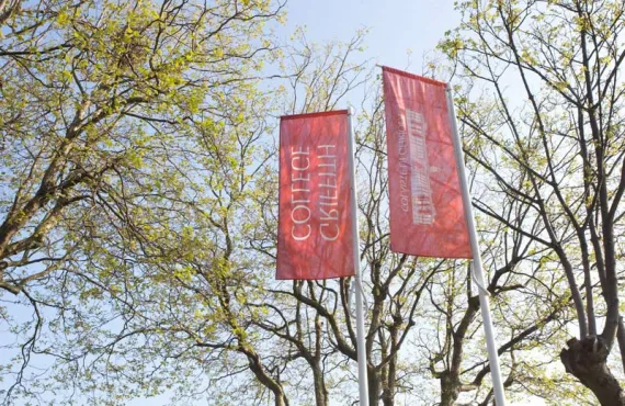 Griffith College Dublin Campus Flag