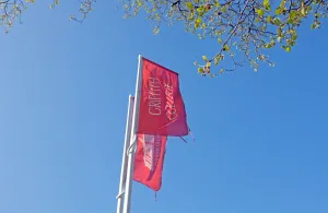 Dublin Main Campus flags