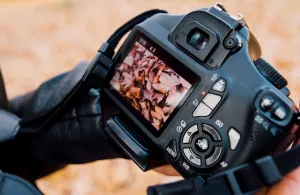 digital-photography-for-beginners
