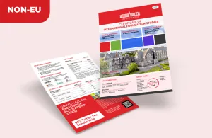 CIFS Guide for Non-EU students