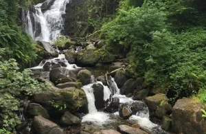 Kenmare 2015