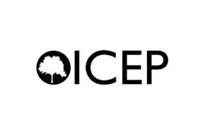 ICEP Conference 2017