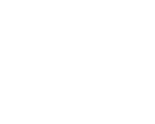 LDT Nagold