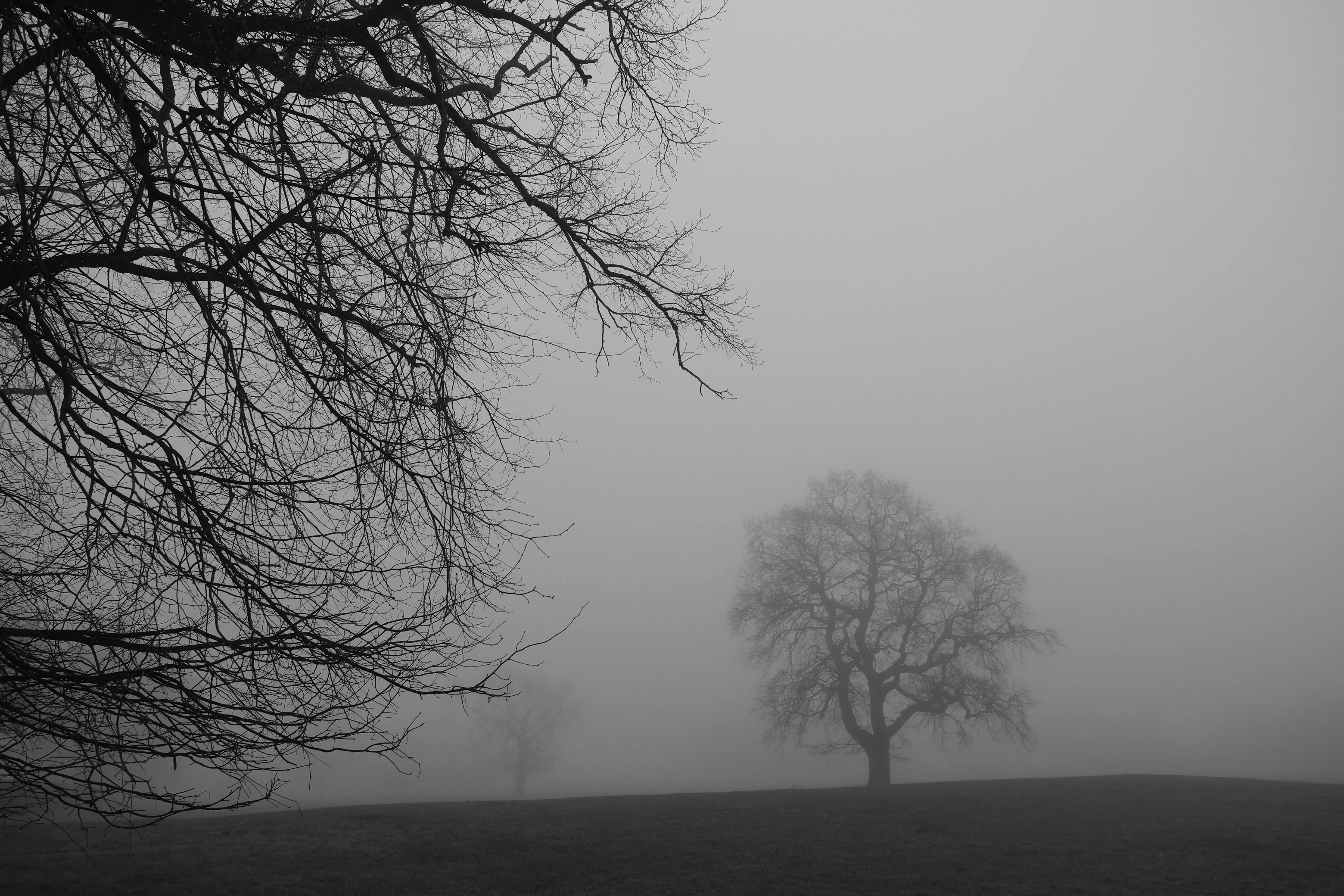 mark oconnor photography