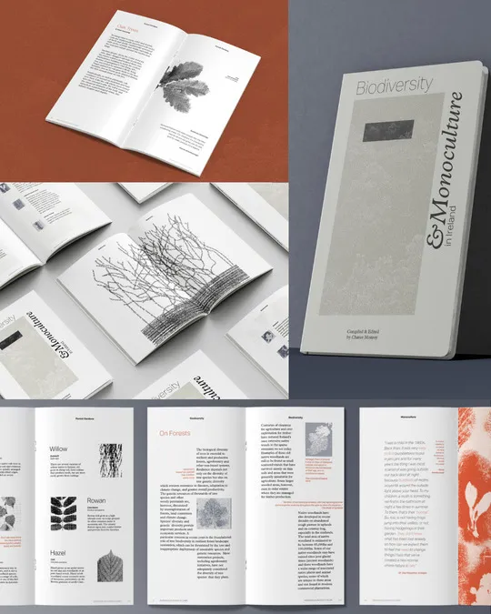 Cheree Monroy Project Collage