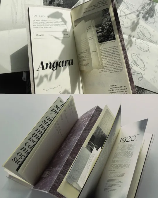 Elizaveta Tolmacheva Project Collage