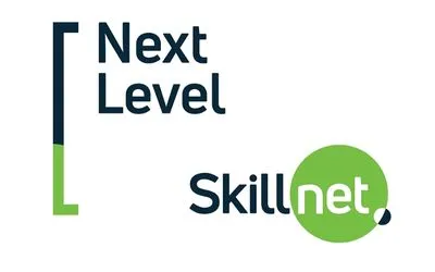 skillnet funding
