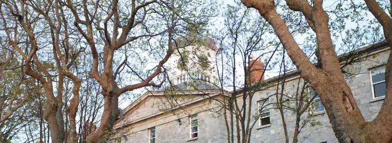 Constitutional Law from DLSP