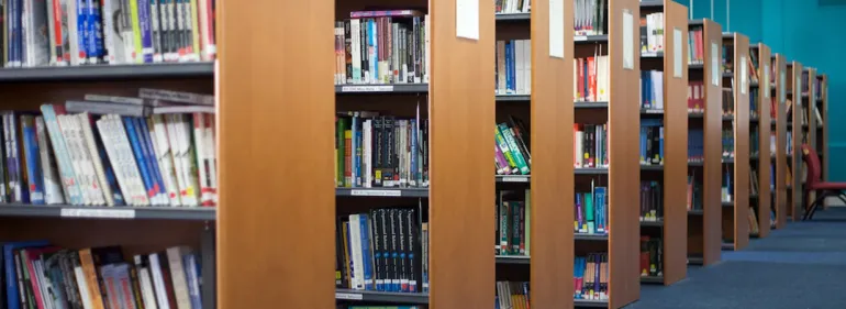 Criminal Law from DLSP