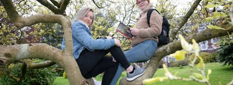 Two students sitting in a tree at Griffith College's main Dublin campus