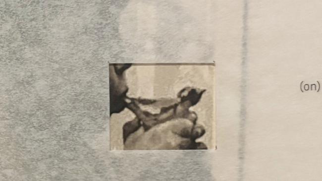 A close-up of a die-cut window that reveals a vintage photo of a child using the whistle.