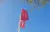 Angela Barry