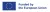 funded-by-the-eu-logo.png