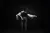 Black and white image of a performer standing and holding another performer horizontally across their arms on a dark stage.