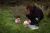 a little boy that is standing in the grass