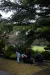 a group of people standing next to a tree