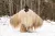 A person wearing an enormous shaggy fur-like costume stands in a snowy forest