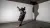 A person in black holds a one-handed freeze, legs extended toward the wall, with a bold shadow cast in a concrete corner.