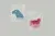 stickers featuring two of the possible species, a seal and a duck