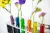 Flowers grow in test tubes filled with various colours of water