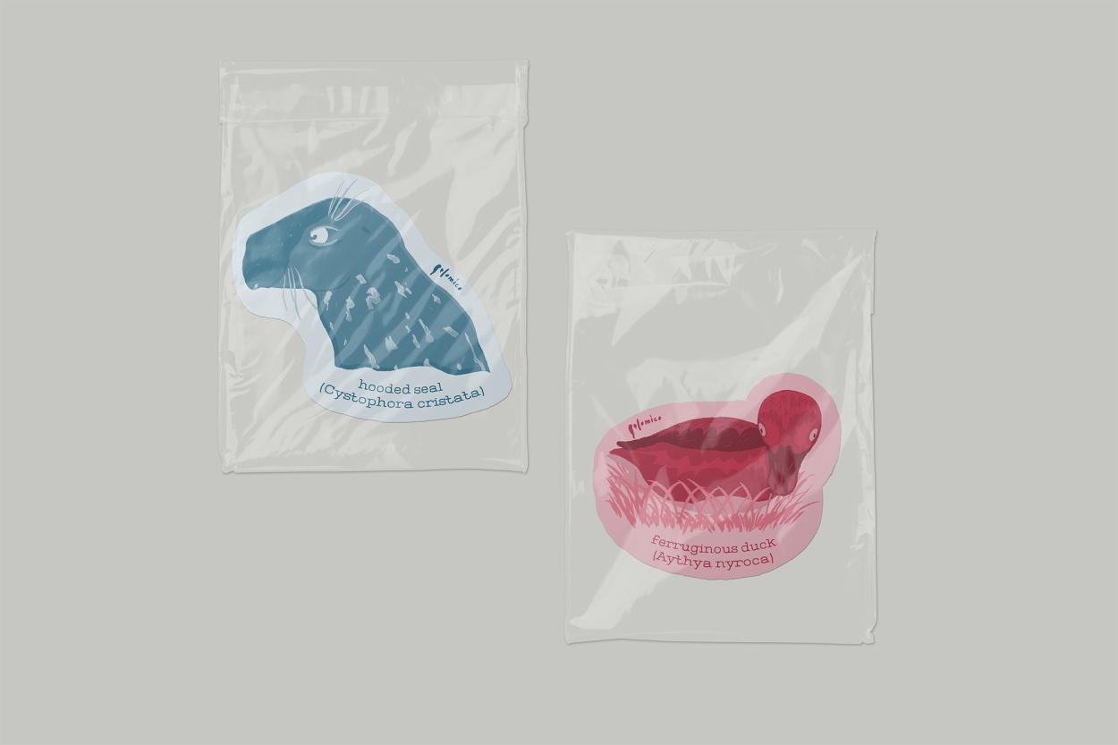 stickers featuring two of the possible species, a seal and a duck