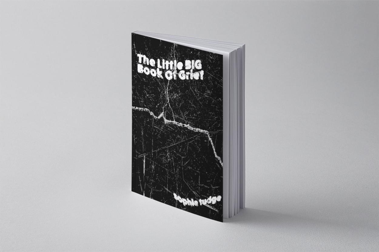 Front cover of The Little BIG Book of Grief.