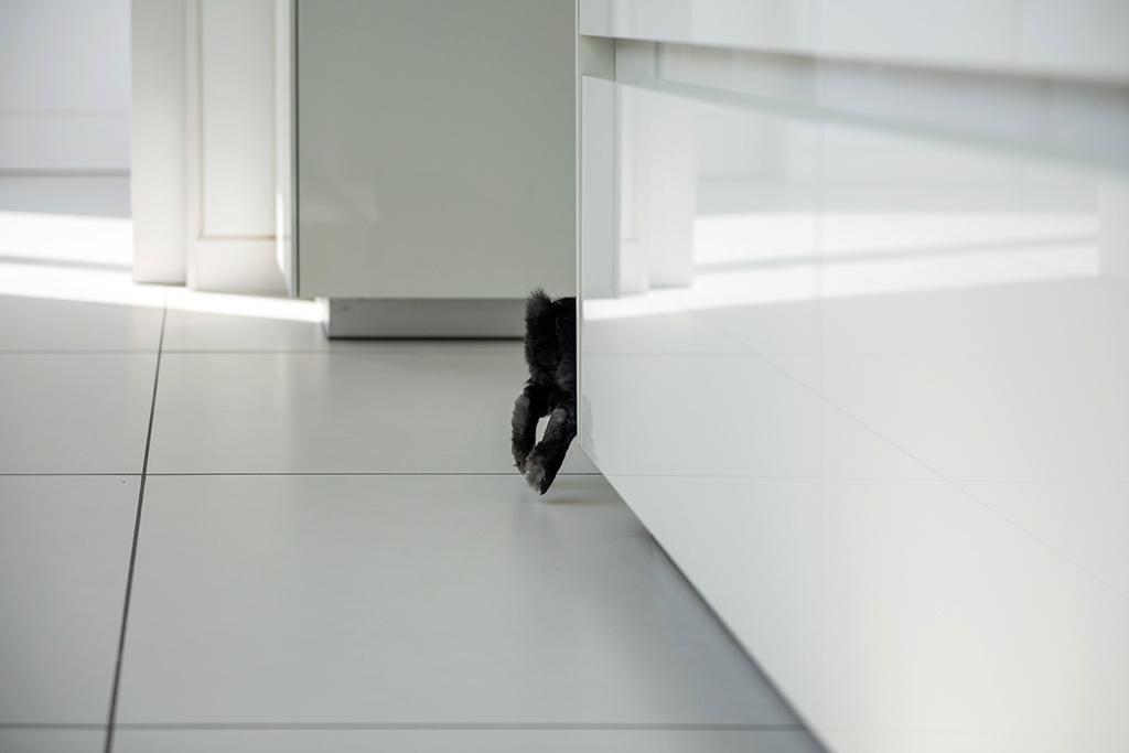  A black rabbit peeks out from behind a kitchen cabinet in a low-angle close-up.