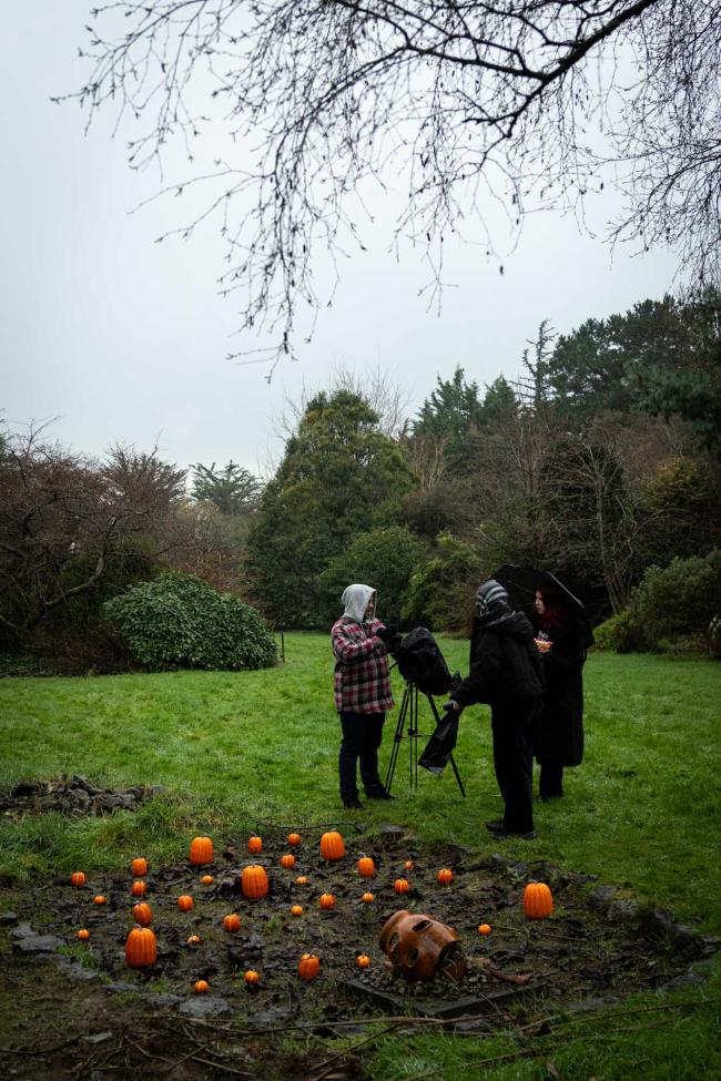 a group of people in a forest