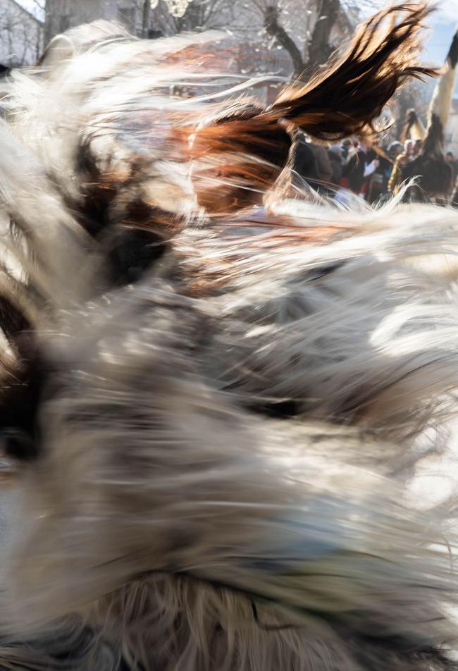  A close-up blur of swirling, multicolored fur in motion during an outdoor festival. 