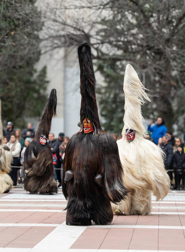 Tall, fur‑covered festival figures with vivid masks parade outdoors before a gathered crowd. 