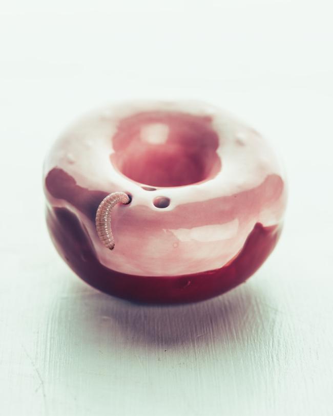 A small, segmented worm rests on the edge of a glossy pink ceramic vessel in a soft-focus close-up. 